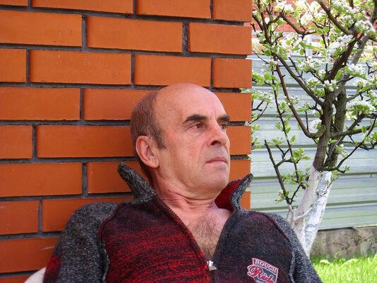   ,   , 65 ,   