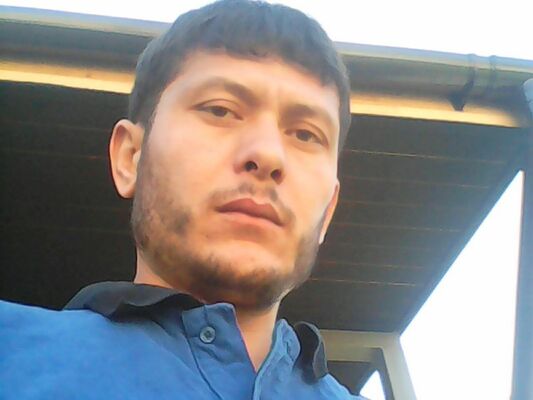  ,   TIGR, 38 ,  
