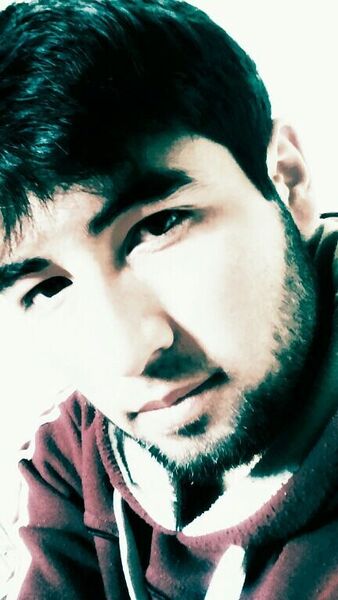  ,   DoNi, 31 ,   ,   , c 