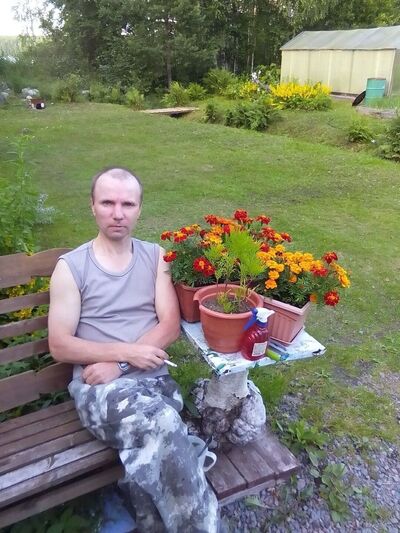  -,   , 46 ,   ,   