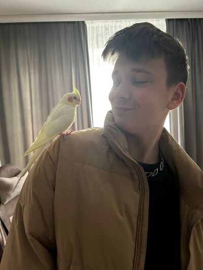  ,   , 22 ,   ,   