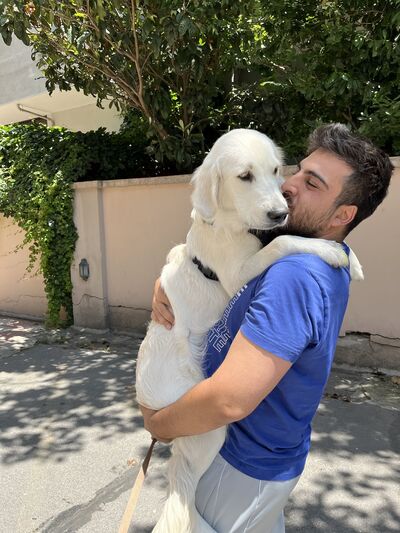  ,   Deniz, 33 ,   ,   