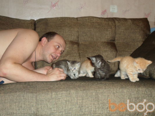  --,   Dima, 44 ,   ,   , c 
