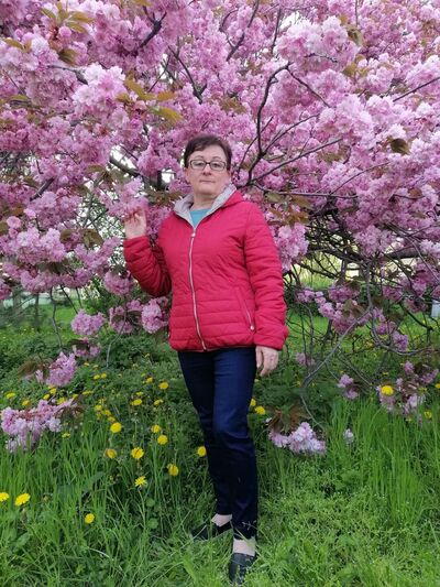  Jirkov,   , 54 ,     , c 