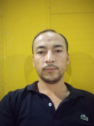  Novy,   , 31 ,   ,   