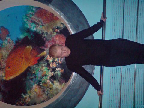 ���������� �������, ���� ������� �����, 36 ���, ������������ ��� ������, ����� � ���������