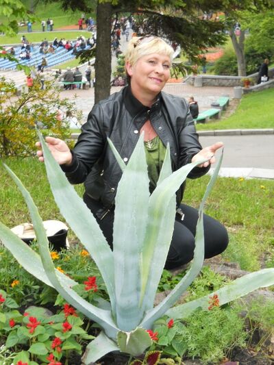  ,   , 63 ,   ,   , c 