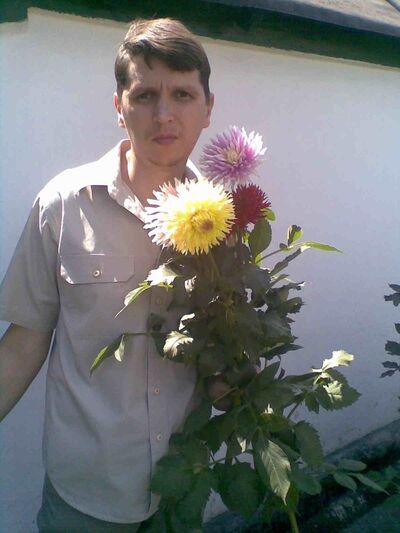  ,   , 54 ,   