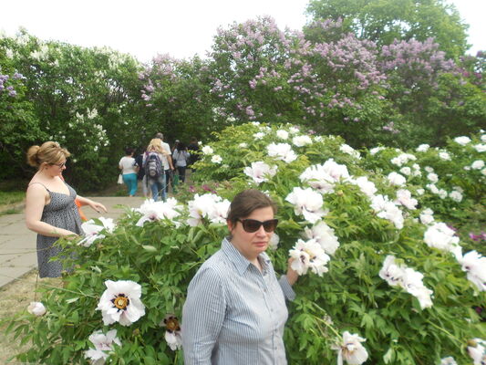  ,   Evgenia, 40 ,  