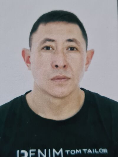  ,   , 41 ,   ,   