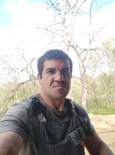  ,   , 41 ,   c 
