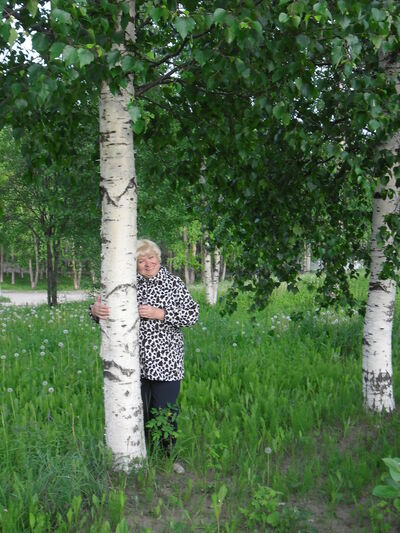  ,   , 75 ,  