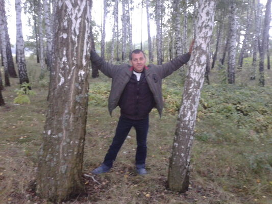  ,   , 53 ,   