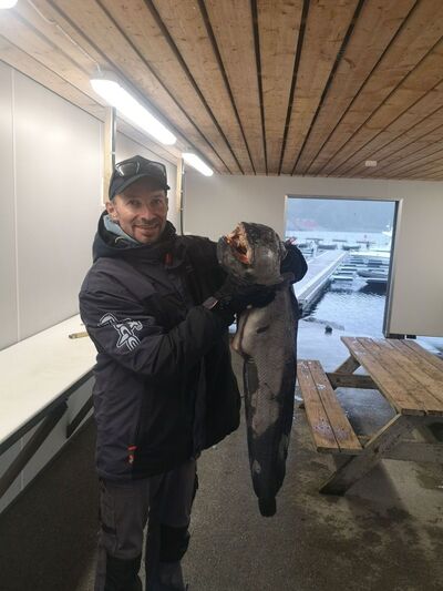  ,   Janis, 45 ,   ,   , c , 