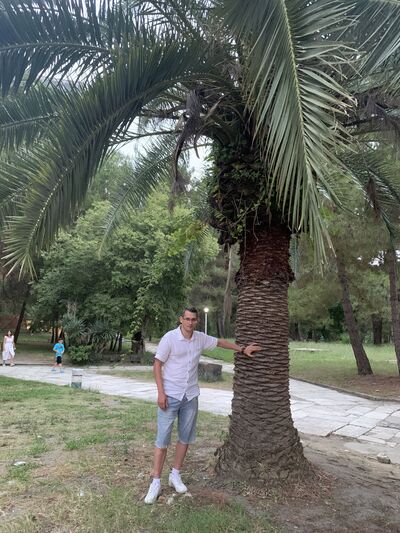  ,   , 38 ,     , c 