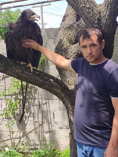  ,   , 41 ,   ,   , c , 
