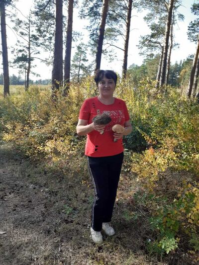  ,   , 60 ,   ,   