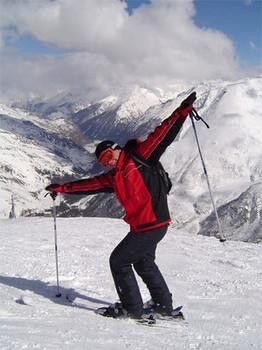  ,   IGOR, 49 ,     , c 