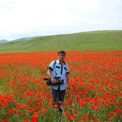  ,   , 52 ,   ,   , c 