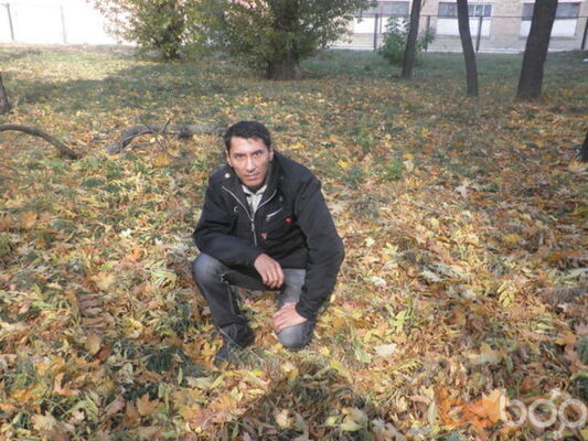  ,   SARVAR, 43 ,   