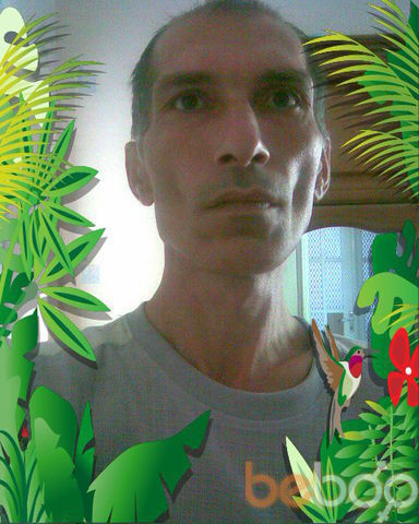   ,   , 61 ,   