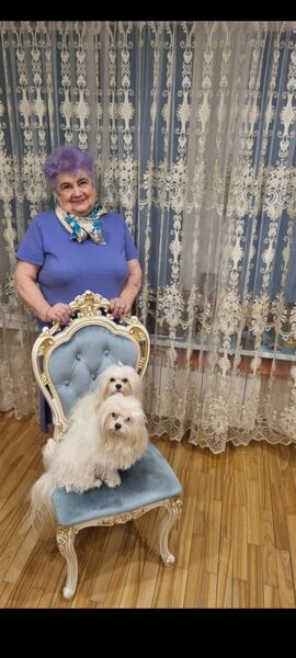  ,   , 61 ,     
