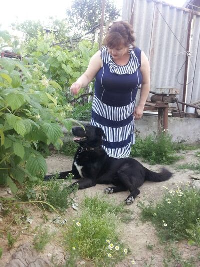  ,   , 54 ,  