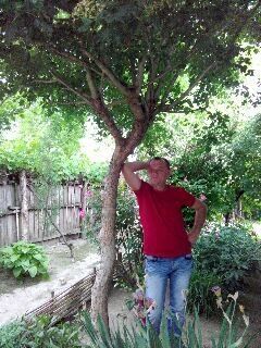  ,   Sergo, 44 ,   ,   , c 