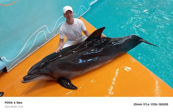  ,   , 44 ,   ,   , c , 