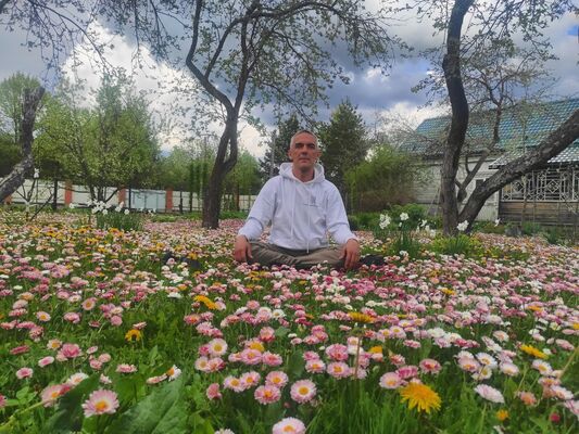  ,   Nayrust , 40 ,   ,   , c 