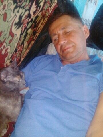  ,   , 53 ,   