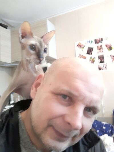   ,   , 53 ,   ,   