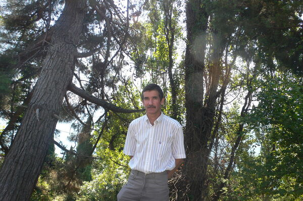  ,   , 66 ,   ,   , c 