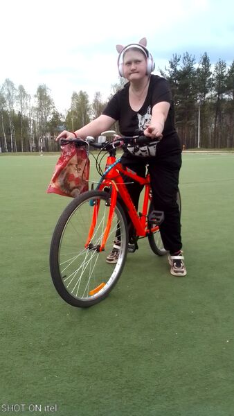  ,   , 29 ,     , c , 