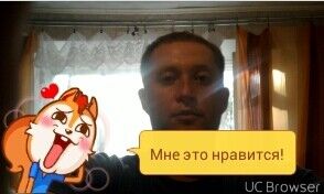  --,   Denis, 41 ,   ,   , c 