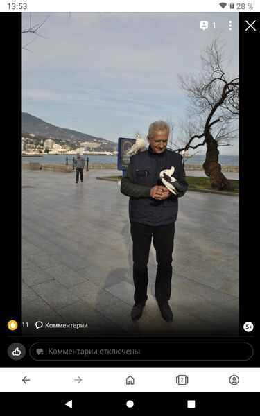  ,   , 60 ,   ,   
