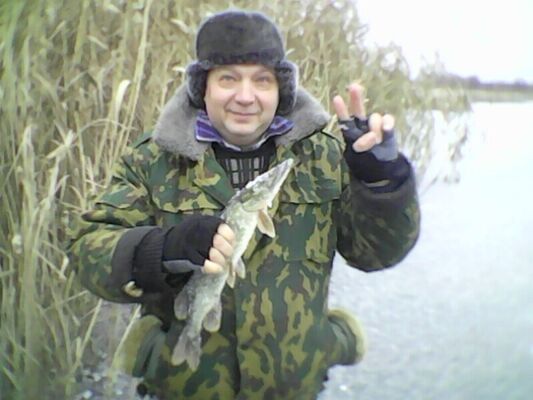  ,   Volod, 60 ,   ,   , c 