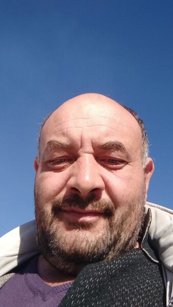  -,   , 46 ,   ,   