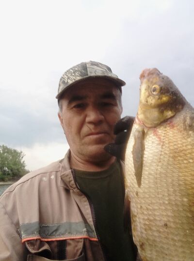  ,   , 61 ,   ,   