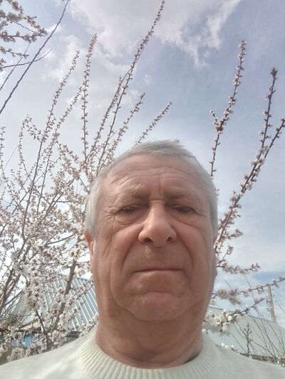  ,   , 62 ,   ,   