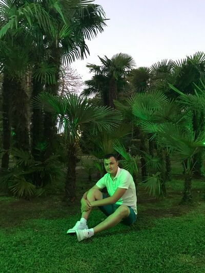  ,   , 37 ,   