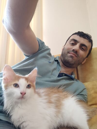  Alihe,   , 41 ,   ,   