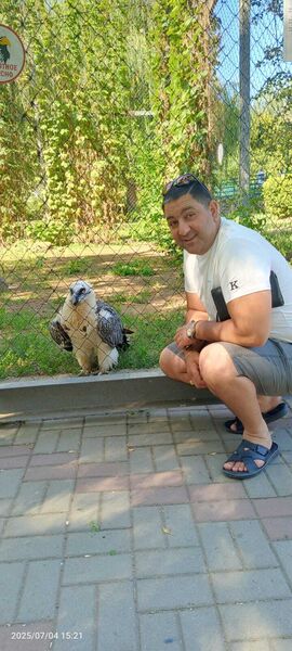  ,   Artemi, 41 ,   ,   