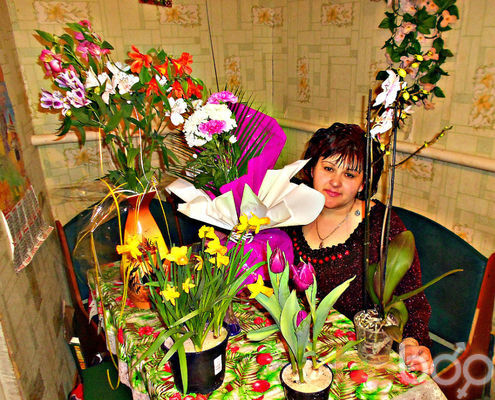 ���������� ���������, ���� ������� �������, 48 ���, ������������ ��� ������, ����� � ���������, c�������� ���������