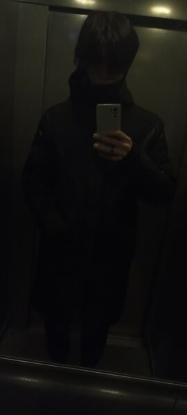  -,   , 22 ,   ,   