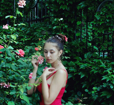  ,   Nifertity, 24 ,   ,   , c , 