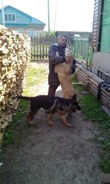  ,   , 48 ,   