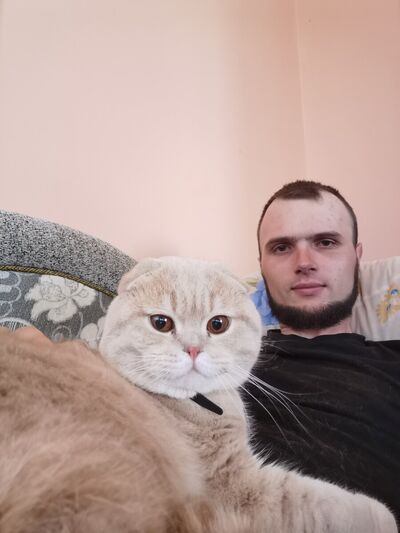  --,   , 29 ,   ,   , c 
