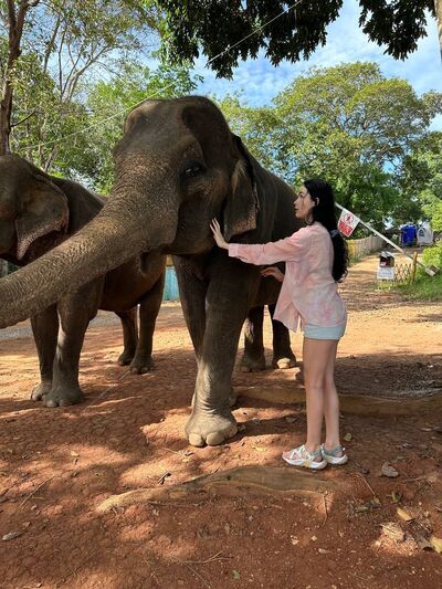  ,   Bulochka, 25 ,   ,   , 