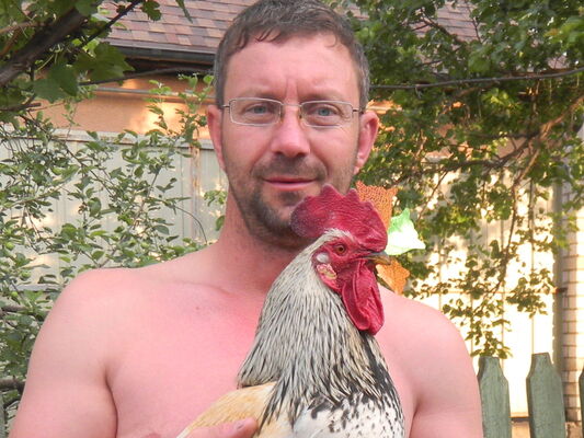   ,   , 53 ,  